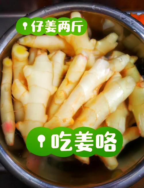 醋泡子姜的正确做法(醋泡子姜醋要煮过吗)-第1张图片-窝头美食网 醋泡子姜的正确做法(醋泡子姜醋要煮过吗)-第1张图片-窝头美食网