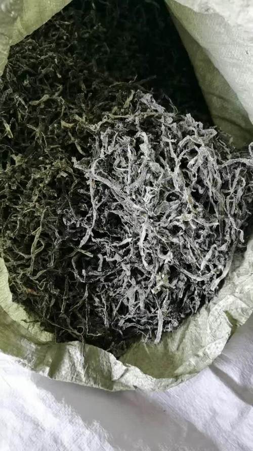 干海带丝家常做法(干海带丝做法大全家常)-第1张图片-窝头美食网 干海带丝家常做法(干海带丝做法大全家常)-第1张图片-窝头美食网