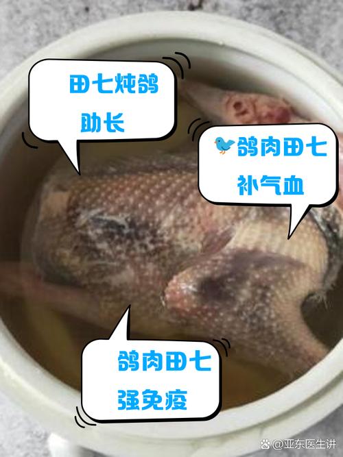 田七炖鸽子的做法大全(田七鸽子汤的做法和功效窍门)-第4张图片-窝头美食网 田七炖鸽子的做法大全(田七鸽子汤的做法和功效窍门)-第4张图片-窝头美食网