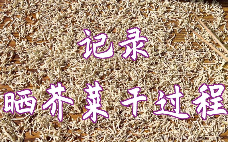 四川咸菜的做法大全(四川咸菜的腌制方法大全)-第2张图片-窝头美食网 四川咸菜的做法大全(四川咸菜的腌制方法大全)-第2张图片-窝头美食网
