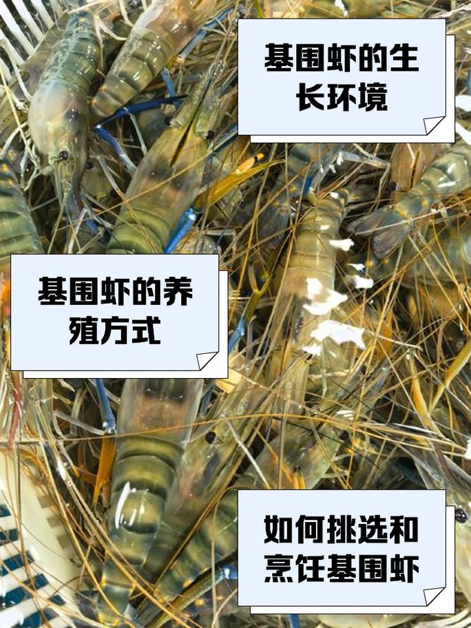 蒜蓉水晶虾的做法(水晶虾做法大全)-第1张图片-窝头美食网 蒜蓉水晶虾的做法(水晶虾做法大全)-第1张图片-窝头美食网