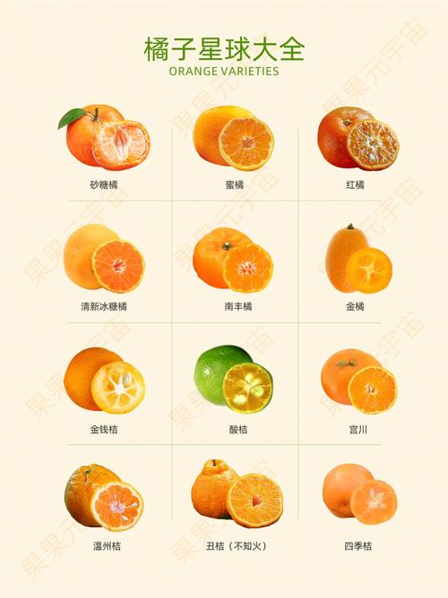 什么橘子好吃(什么橘子品种比较好吃)-第6张图片-窝头美食网 什么橘子好吃(什么橘子品种比较好吃)-第6张图片-窝头美食网