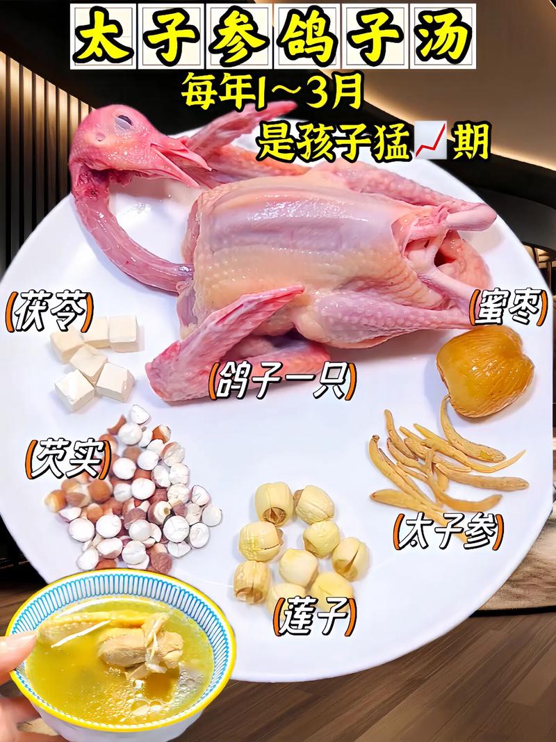清炖鸽子做法(清炖鸽子的比较好做法鸽子肉)-第1张图片-窝头美食网 清炖鸽子做法(清炖鸽子的比较好做法鸽子肉)-第1张图片-窝头美食网