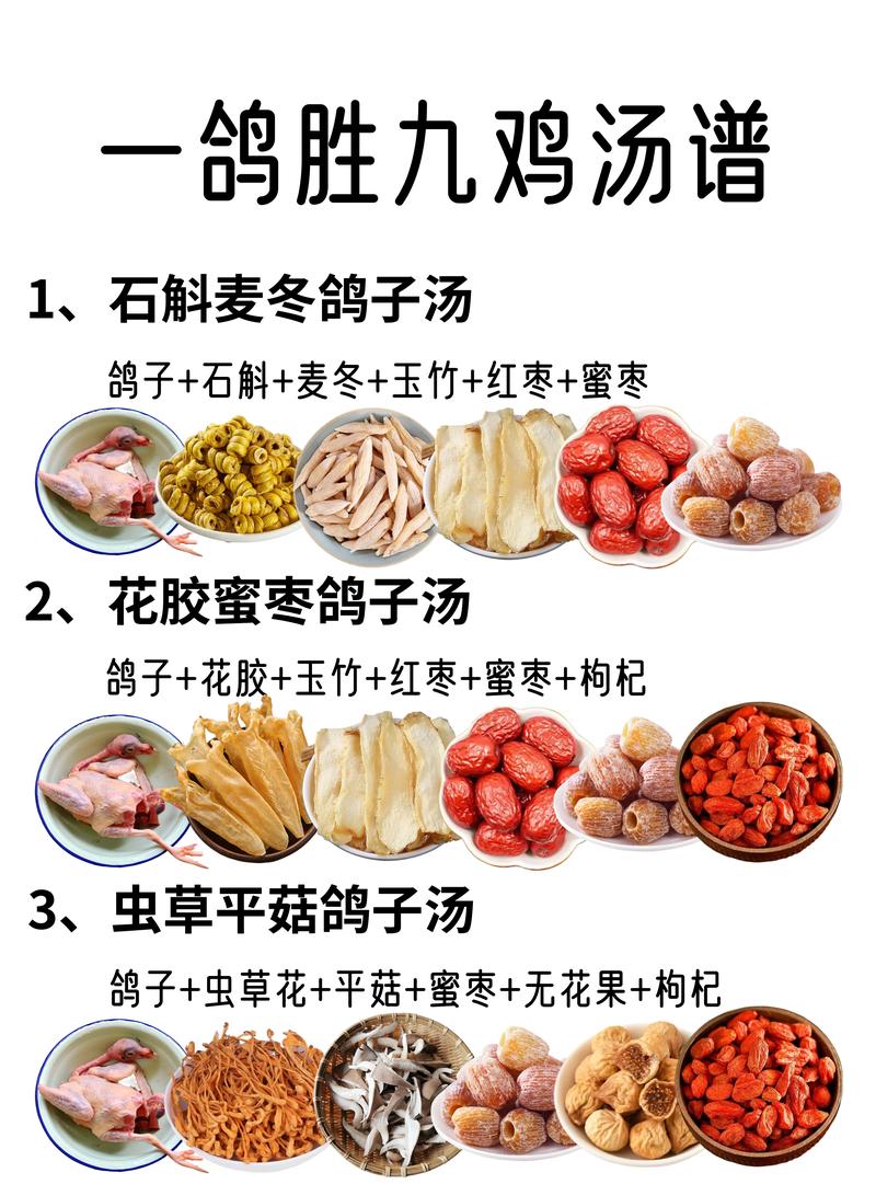清炖鸽子做法(清炖鸽子的比较好做法鸽子肉)-第6张图片-窝头美食网 清炖鸽子做法(清炖鸽子的比较好做法鸽子肉)-第6张图片-窝头美食网