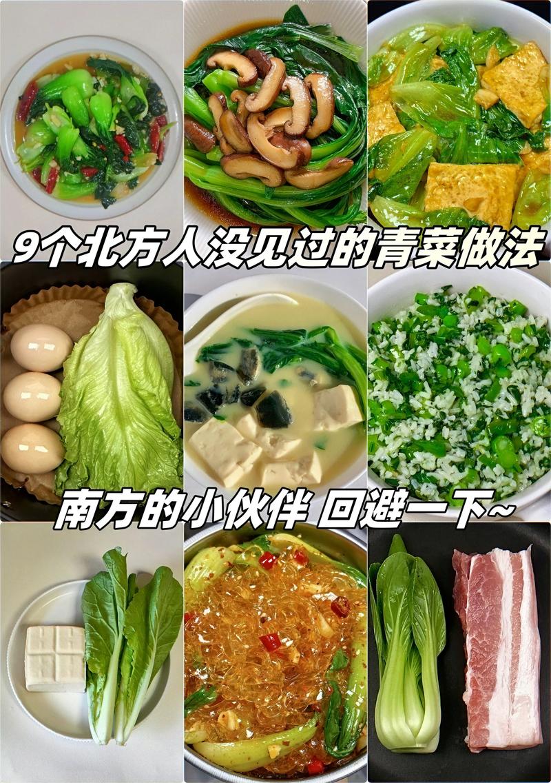 各种家常菜的做法(各种家常菜的做法大全)-第4张图片-窝头美食网 各种家常菜的做法(各种家常菜的做法大全)-第4张图片-窝头美食网