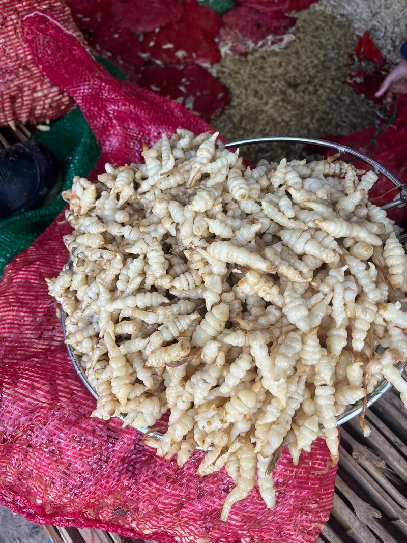 螺丝菜的做法大全(螺丝菜百度百科)-第6张图片-窝头美食网 螺丝菜的做法大全(螺丝菜百度百科)-第6张图片-窝头美食网