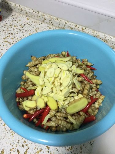 螺丝菜的做法大全(螺丝菜百度百科)-第7张图片-窝头美食网 螺丝菜的做法大全(螺丝菜百度百科)-第7张图片-窝头美食网