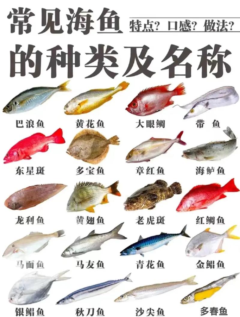鱼的花样做法(鱼的花式做法)-第6张图片-窝头美食网 鱼的花样做法(鱼的花式做法)-第6张图片-窝头美食网