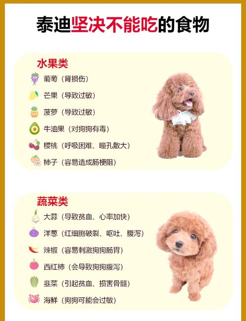 泰迪食谱做法大全(泰迪狗的食谱饭食怎么做)-第1张图片-窝头美食网 泰迪食谱做法大全(泰迪狗的食谱饭食怎么做)-第1张图片-窝头美食网
