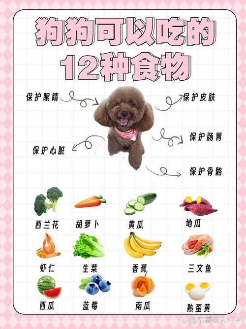 泰迪食谱做法大全(泰迪狗的食谱饭食怎么做)-第2张图片-窝头美食网 泰迪食谱做法大全(泰迪狗的食谱饭食怎么做)-第2张图片-窝头美食网
