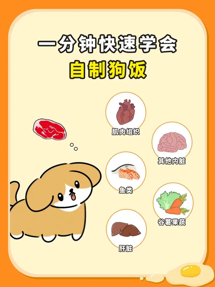 泰迪食谱做法大全(泰迪狗的食谱饭食怎么做)-第6张图片-窝头美食网 泰迪食谱做法大全(泰迪狗的食谱饭食怎么做)-第6张图片-窝头美食网