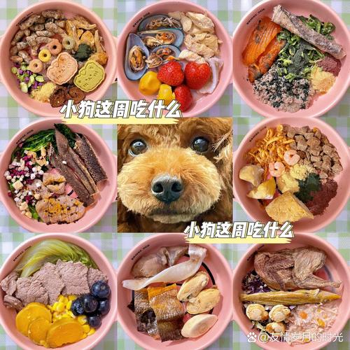 泰迪食谱做法大全(泰迪狗的食谱饭食怎么做)-第8张图片-窝头美食网 泰迪食谱做法大全(泰迪狗的食谱饭食怎么做)-第8张图片-窝头美食网