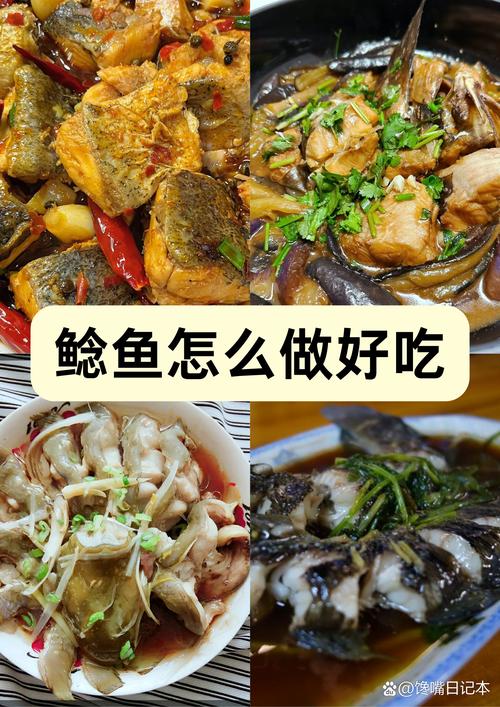 鲶鱼好吃吗(埃及鲶鱼好吃吗)-第1张图片-窝头美食网 鲶鱼好吃吗(埃及鲶鱼好吃吗)-第1张图片-窝头美食网