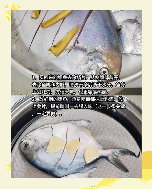鲳鱼做法(冷冻鲳鱼做法)-第3张图片-窝头美食网 鲳鱼做法(冷冻鲳鱼做法)-第3张图片-窝头美食网