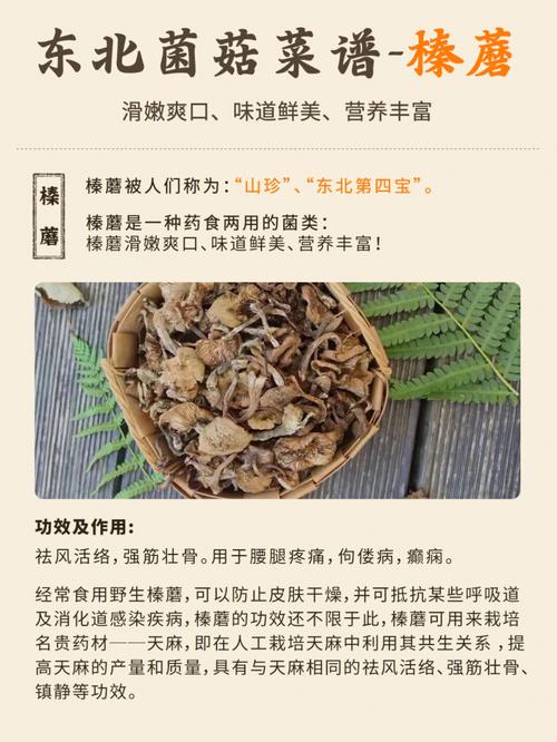 鲜蘑菇的做法(鲜蘑菇的做法大全)-第1张图片-窝头美食网 鲜蘑菇的做法(鲜蘑菇的做法大全)-第1张图片-窝头美食网