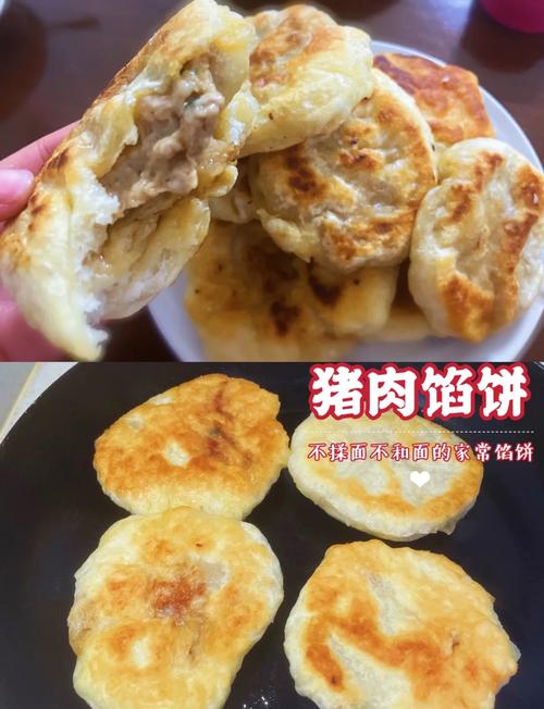 猪肉馅饼的做法(猪肉馅饼的做法视频)-第1张图片-窝头美食网 猪肉馅饼的做法(猪肉馅饼的做法视频)-第1张图片-窝头美食网