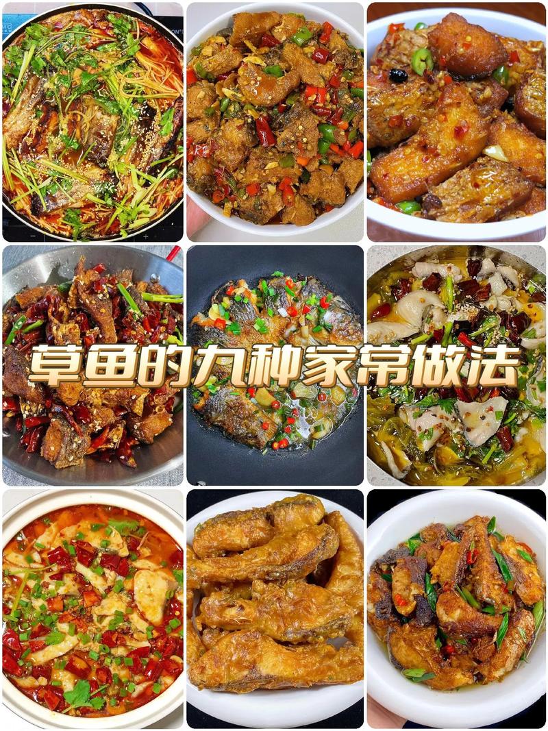 家常槽鱼的做法(槽鱼怎样做)-第1张图片-窝头美食网 家常槽鱼的做法(槽鱼怎样做)-第1张图片-窝头美食网