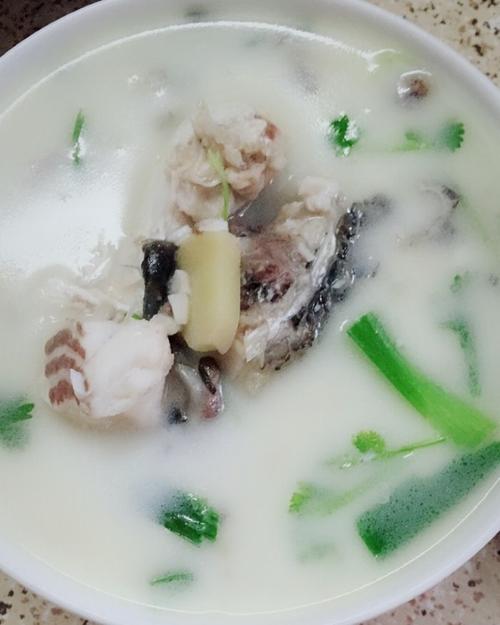 家常槽鱼的做法(槽鱼怎样做)-第5张图片-窝头美食网 家常槽鱼的做法(槽鱼怎样做)-第5张图片-窝头美食网