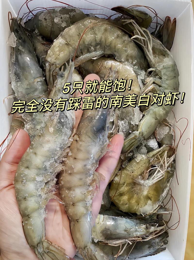 厄尔多白虾怎么做好吃(厄瓜尔多白虾的做法)-第1张图片-窝头美食网 厄尔多白虾怎么做好吃(厄瓜尔多白虾的做法)-第1张图片-窝头美食网