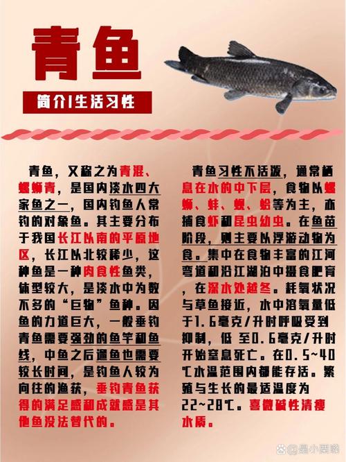 螺丝青鱼的做法大全(螺丝青鱼的做法大全窍门)-第1张图片-窝头美食网 螺丝青鱼的做法大全(螺丝青鱼的做法大全窍门)-第1张图片-窝头美食网