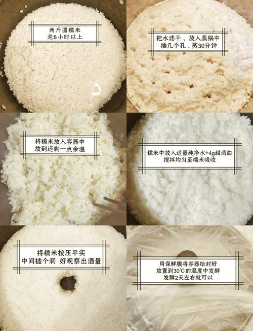 醪糟不好吃(醪糟很认真)-第1张图片-窝头美食网 醪糟不好吃(醪糟很认真)-第1张图片-窝头美食网