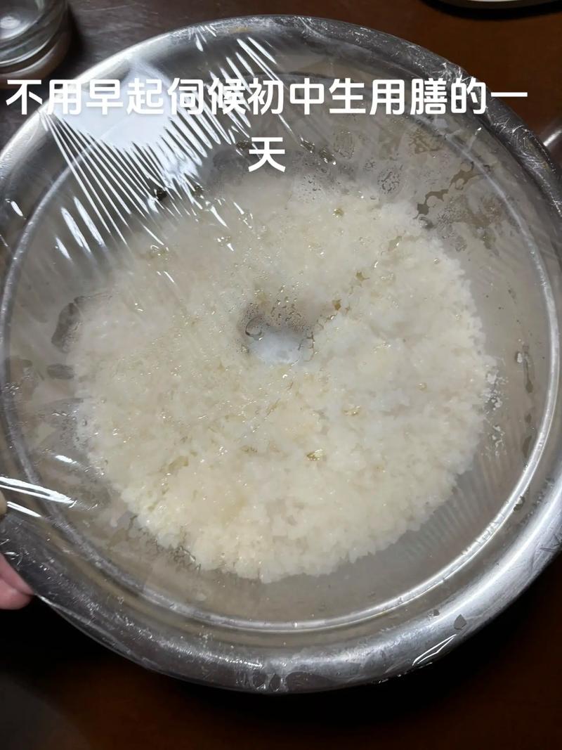 醪糟不好吃(醪糟很认真)-第6张图片-窝头美食网 醪糟不好吃(醪糟很认真)-第6张图片-窝头美食网