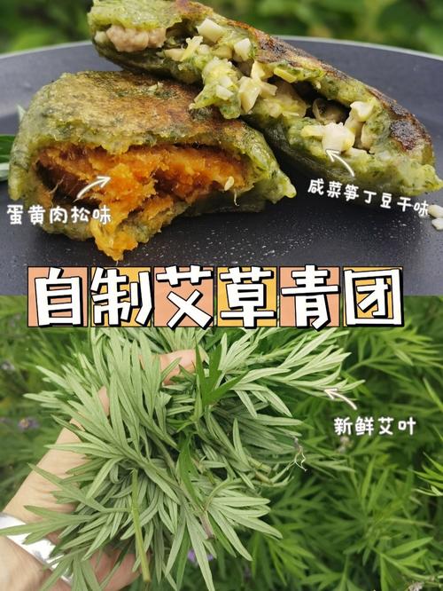 艾叶怎么做好吃（艾叶怎么做好吃及功效）-第2张图片-窝头美食网
