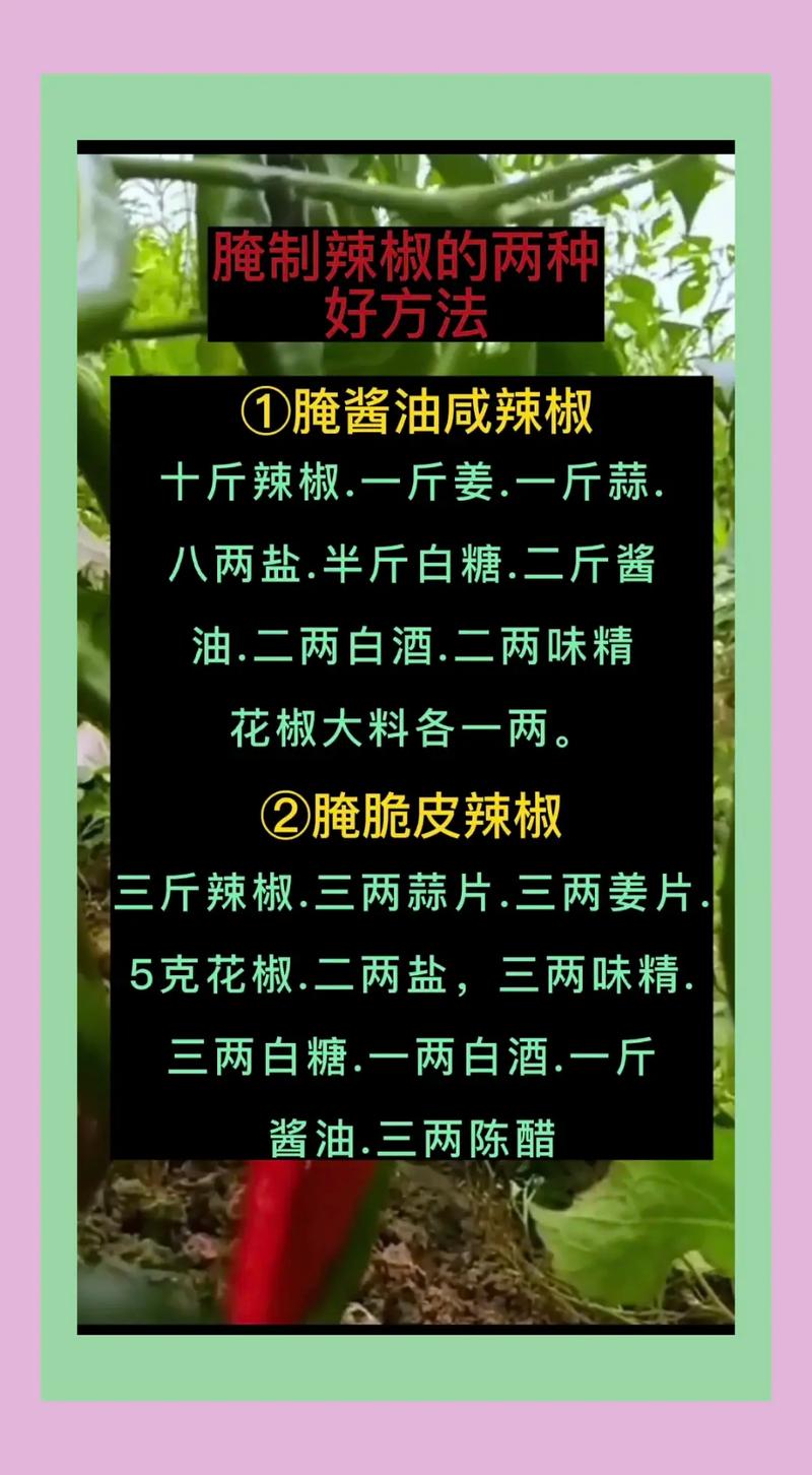 小米辣怎么腌制好吃(小米辣怎么腌制好吃又能保存很久)-第4张图片-窝头美食网 小米辣怎么腌制好吃(小米辣怎么腌制好吃又能保存很久)-第4张图片-窝头美食网