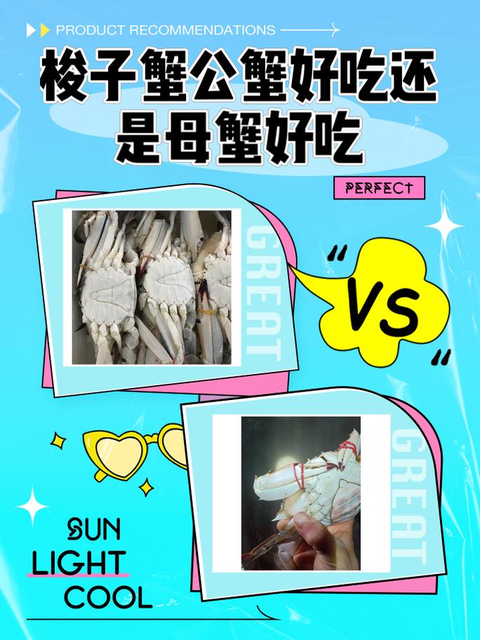 梭子蟹多大的好吃(梭子蟹多大的好吃啊)-第1张图片-窝头美食网 梭子蟹多大的好吃(梭子蟹多大的好吃啊)-第1张图片-窝头美食网