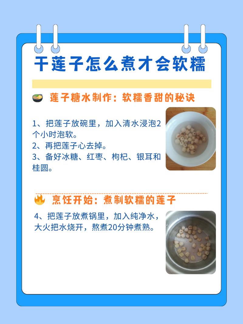 莲子的家常做法(莲子的家常做法大全)-第1张图片-窝头美食网 莲子的家常做法(莲子的家常做法大全)-第1张图片-窝头美食网