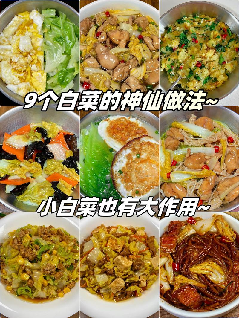 炒白菜的做法大全(炒白菜的做法大全家常)-第3张图片-窝头美食网 炒白菜的做法大全(炒白菜的做法大全家常)-第3张图片-窝头美食网