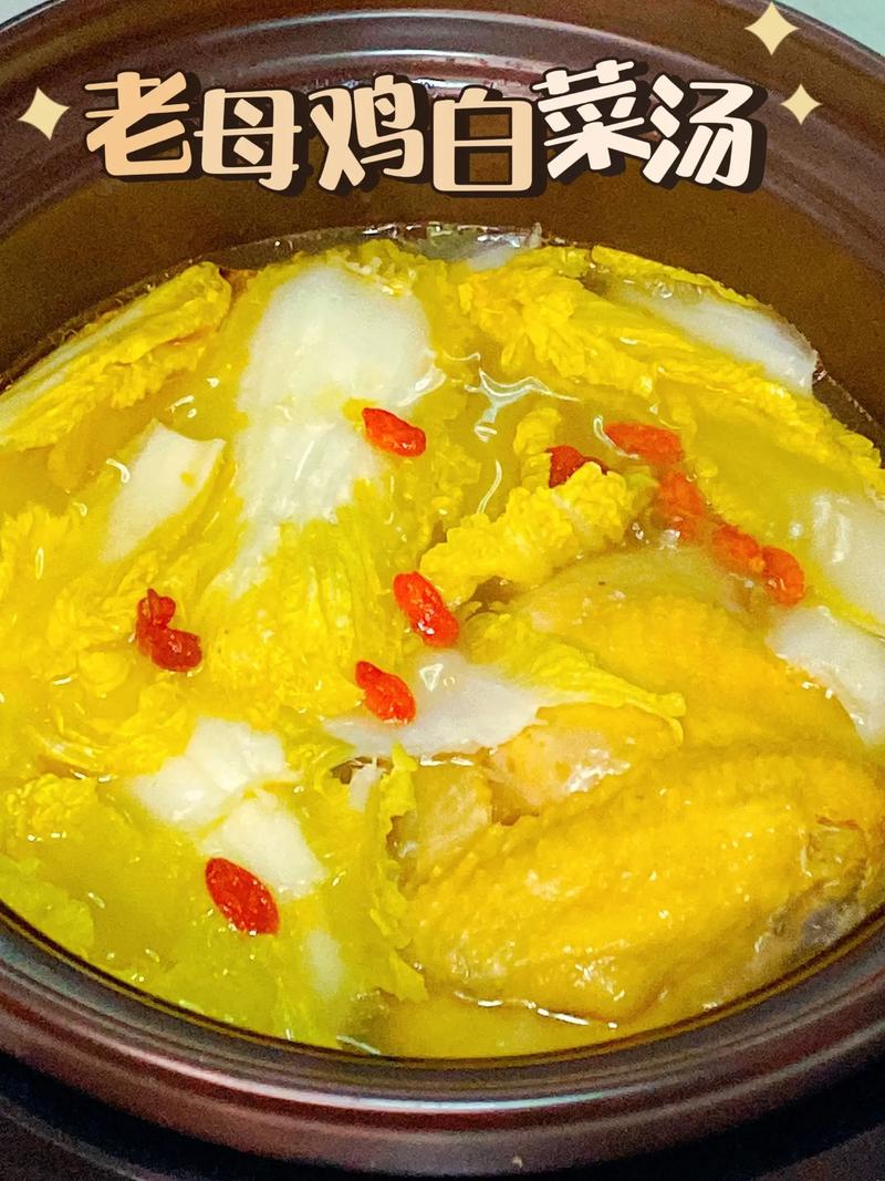 白菜炖鸡块的家常做法(白菜炖鸡子)-第3张图片-窝头美食网 白菜炖鸡块的家常做法(白菜炖鸡子)-第3张图片-窝头美食网