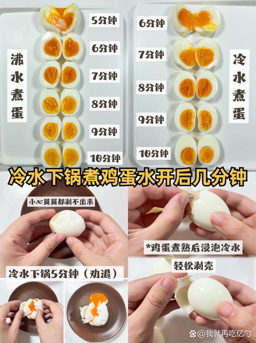 鸡蛋好不好吃(鸡蛋好不好吃和品种有关系吗)-第3张图片-窝头美食网 鸡蛋好不好吃(鸡蛋好不好吃和品种有关系吗)-第3张图片-窝头美食网