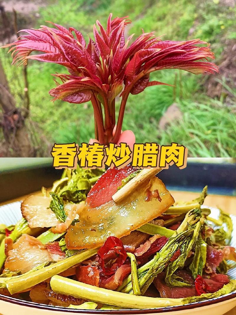 香椿拌面的做法大全(香椿拌面的做法大全窍门)-第6张图片-窝头美食网 香椿拌面的做法大全(香椿拌面的做法大全窍门)-第6张图片-窝头美食网