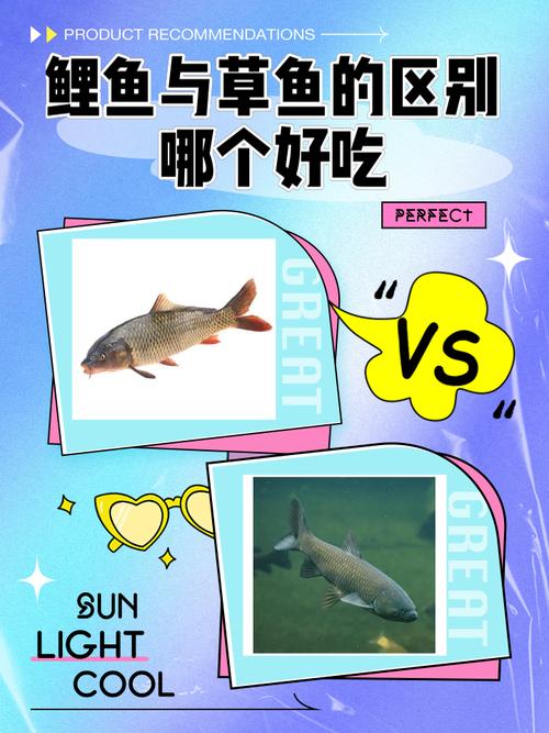 鲤鱼好吃么（鲤鱼好吃嘛）-第2张图片-窝头美食网