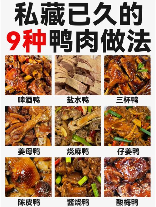 家常鸭肉的做法大全家常(鸭肉的家常做法视频)-第1张图片-窝头美食网 家常鸭肉的做法大全家常(鸭肉的家常做法视频)-第1张图片-窝头美食网