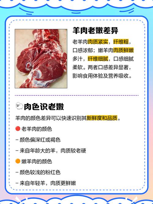 老羊肉好吃吗(老羊肉好吃吗什么味道)-第1张图片-窝头美食网 老羊肉好吃吗(老羊肉好吃吗什么味道)-第1张图片-窝头美食网