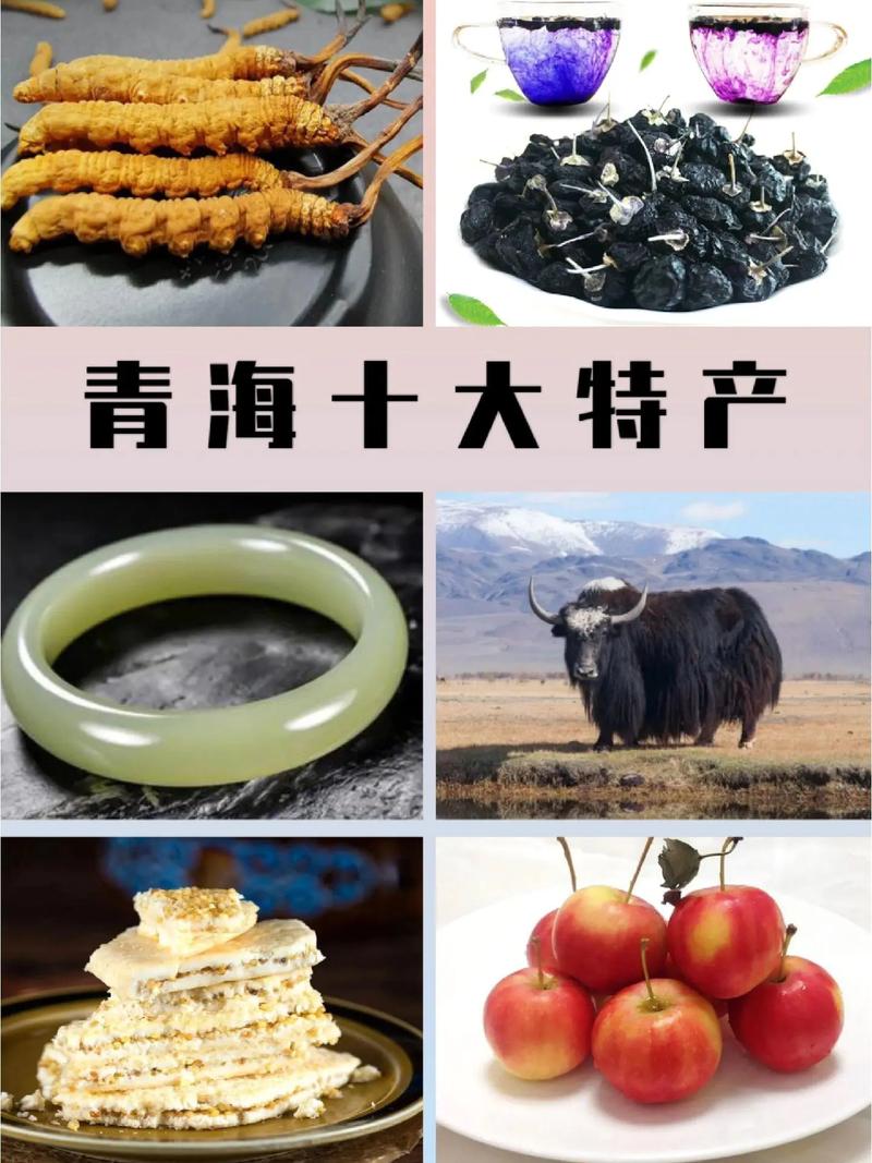 青海好吃的(青海好吃的特产有哪些)-第3张图片-窝头美食网 青海好吃的(青海好吃的特产有哪些)-第3张图片-窝头美食网
