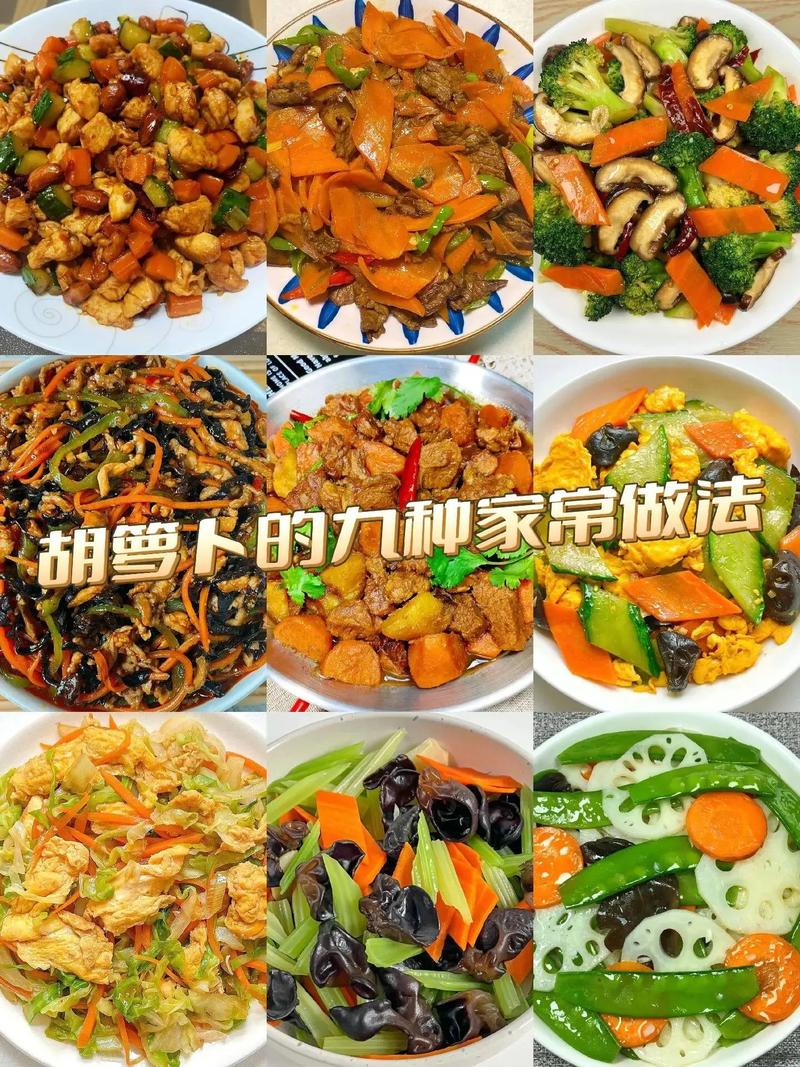 炒胡萝卜家常做法(怎样素炒胡萝卜丝好吃)-第5张图片-窝头美食网 炒胡萝卜家常做法(怎样素炒胡萝卜丝好吃)-第5张图片-窝头美食网