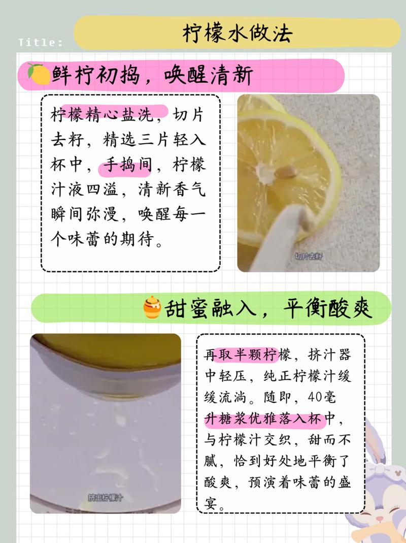 柠檬汁的做法（柠檬汁的做法大全）-第4张图片-窝头美食网