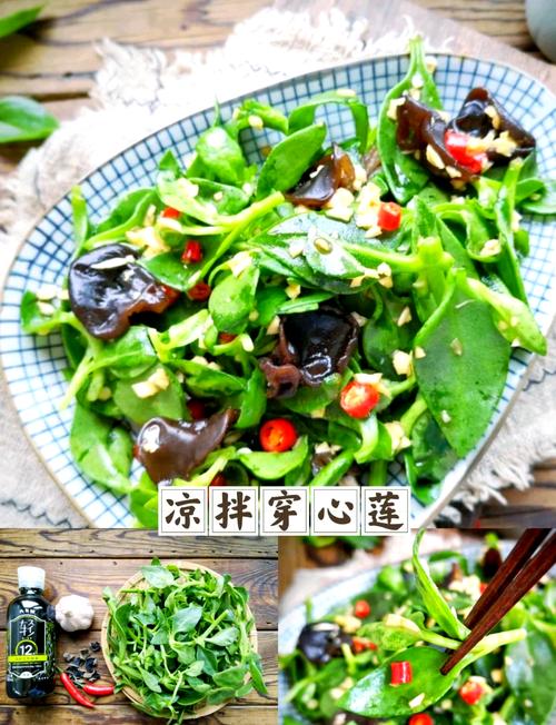 凉拌穿心莲的做法大全（穿心莲凉拌菜做法大全）-第1张图片-窝头美食网