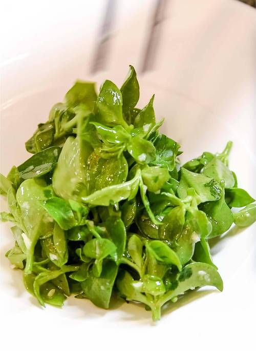 凉拌穿心莲的做法大全（穿心莲凉拌菜做法大全）-第2张图片-窝头美食网