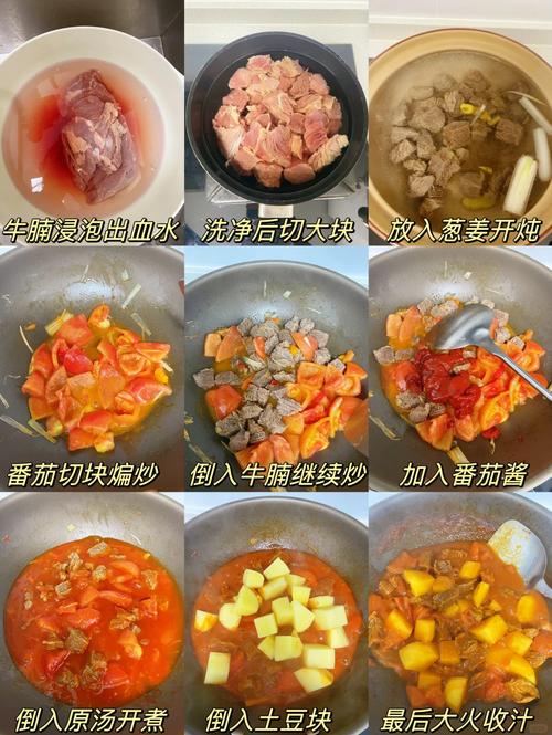 牛腩的家常做法大全(牛腩的家常做法大全窍门)-第4张图片-窝头美食网 牛腩的家常做法大全(牛腩的家常做法大全窍门)-第4张图片-窝头美食网
