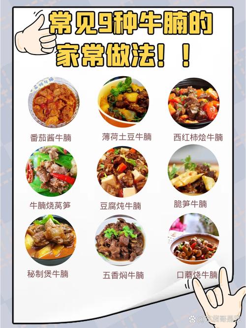 牛腩的家常做法大全(牛腩的家常做法大全窍门)-第5张图片-窝头美食网 牛腩的家常做法大全(牛腩的家常做法大全窍门)-第5张图片-窝头美食网