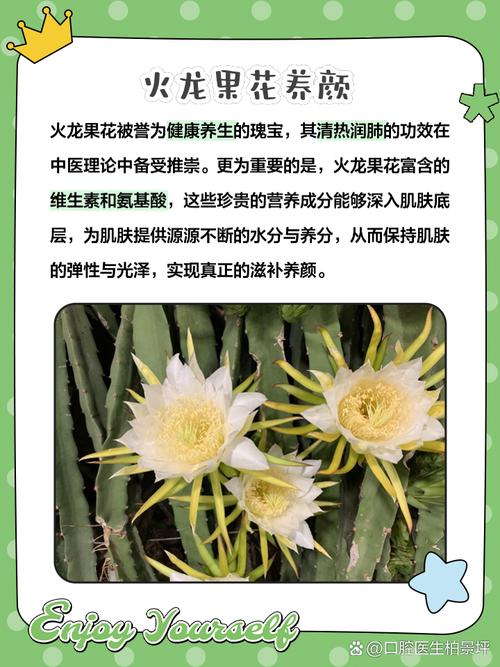 火龙果花怎么做好吃(火龙果花的做法大全窍门)-第1张图片-窝头美食网 火龙果花怎么做好吃(火龙果花的做法大全窍门)-第1张图片-窝头美食网