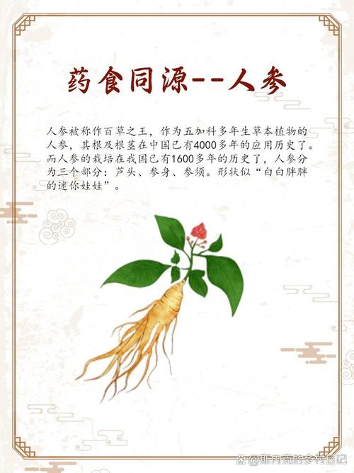 人参好吃吗（人参好坏）-第3张图片-窝头美食网