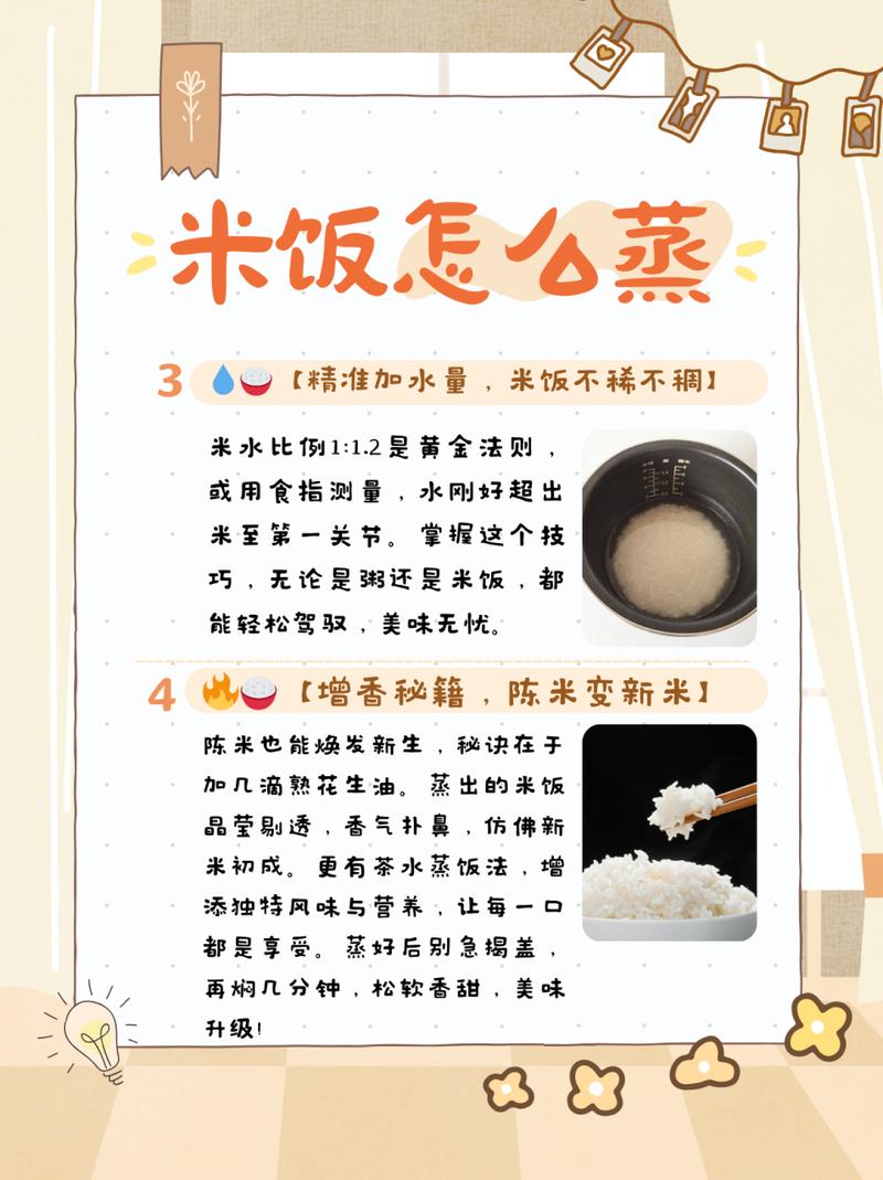 蒸小米饭的做法大全(蒸小米饭做法大全家常)-第2张图片-窝头美食网 蒸小米饭的做法大全(蒸小米饭做法大全家常)-第2张图片-窝头美食网