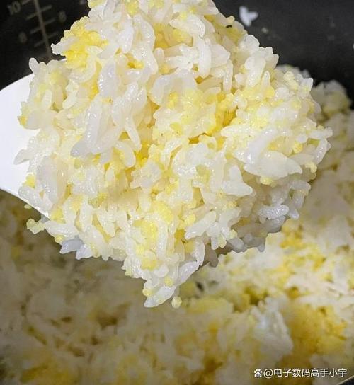 蒸小米饭的做法大全(蒸小米饭做法大全家常)-第5张图片-窝头美食网 蒸小米饭的做法大全(蒸小米饭做法大全家常)-第5张图片-窝头美食网