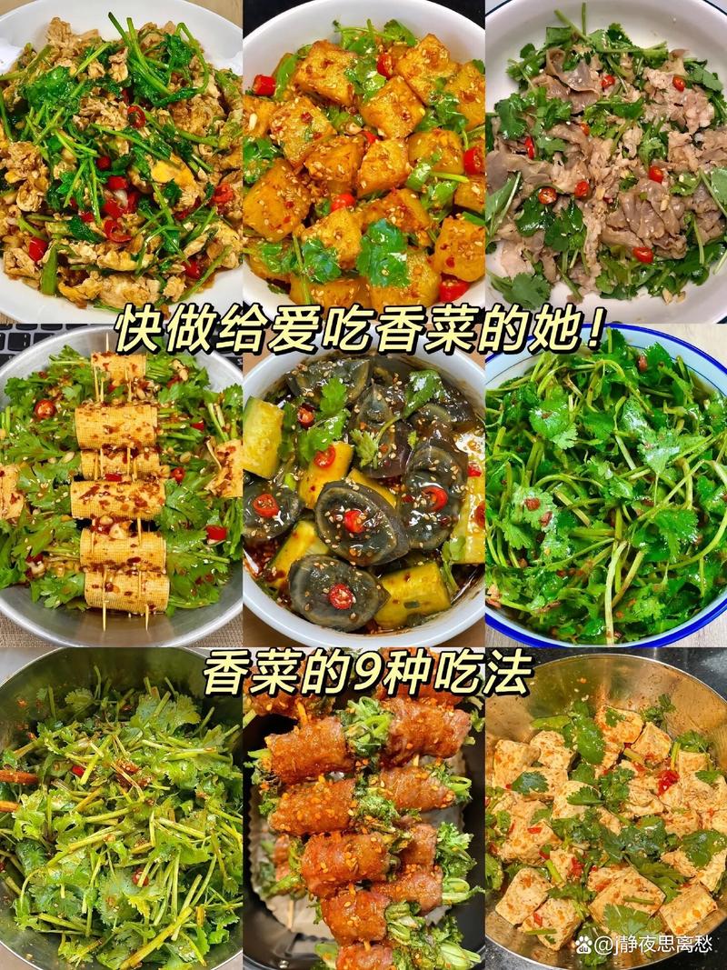 腌制香菜怎么做好吃(腌香菜的制作方法)-第4张图片-窝头美食网 腌制香菜怎么做好吃(腌香菜的制作方法)-第4张图片-窝头美食网