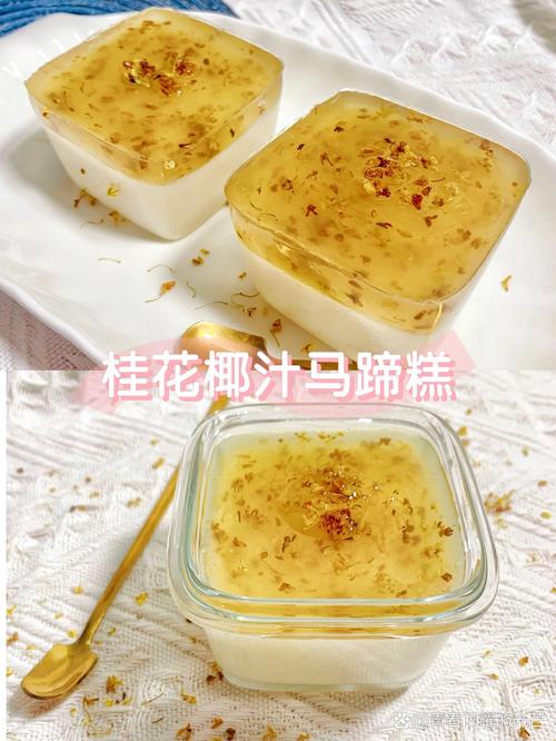 马蹄椰汁糕的做法大全（马蹄椰汁糕怎么做）-第7张图片-窝头美食网